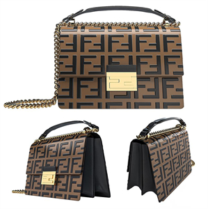Fendi bags KAN U